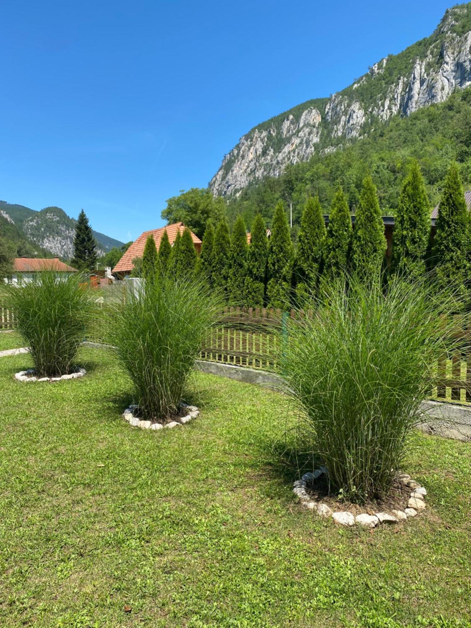 Apartmani D&S Mokra Gora Exteriér fotografie